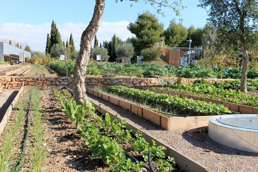 Centro De Agroecologia Y Medio Ambiente De Murcia Bullas Kültér fotó