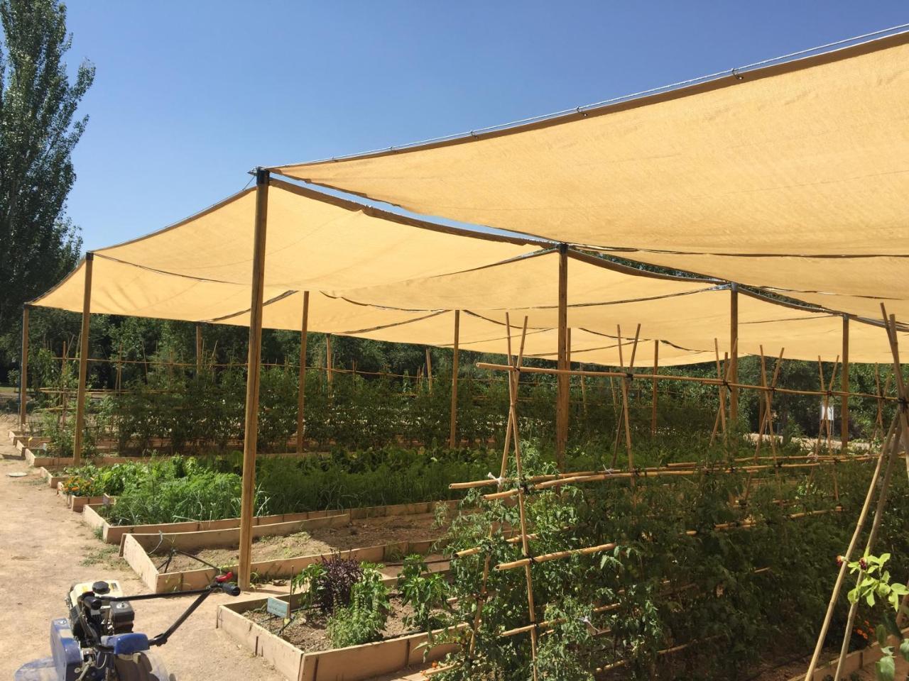 Centro De Agroecologia Y Medio Ambiente De Murcia Bullas Kültér fotó