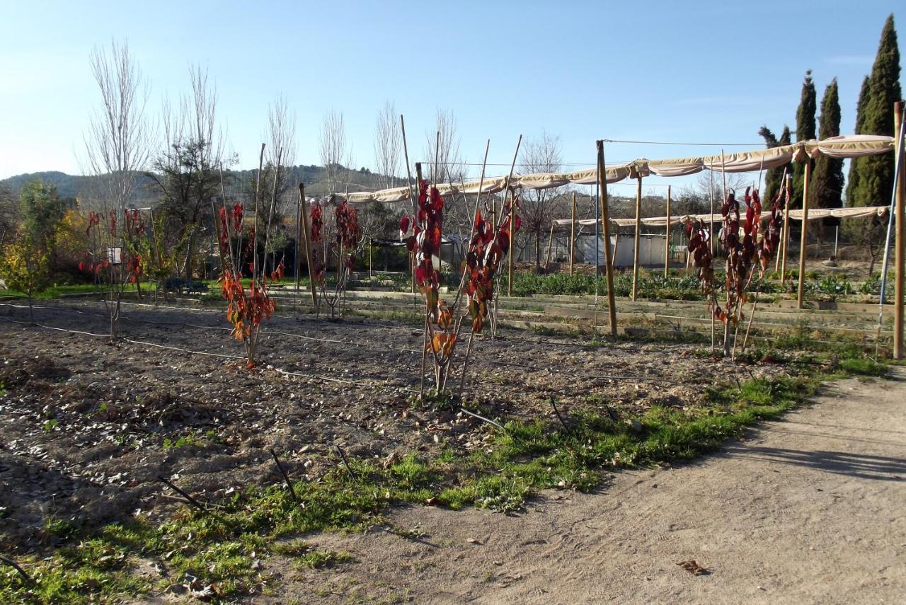 Centro De Agroecologia Y Medio Ambiente De Murcia Bullas Kültér fotó